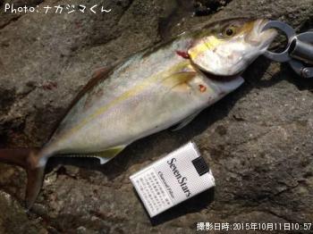 �䥺���ͥ���