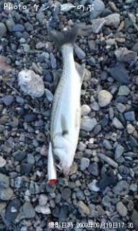 �����Х�