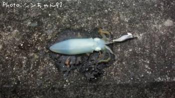 �����ꥤ��