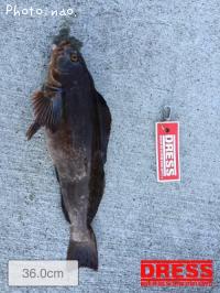 �����ʥ�