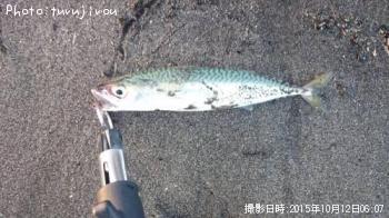 ����̣��