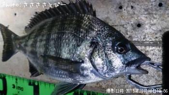 ������������������Х�������Х�