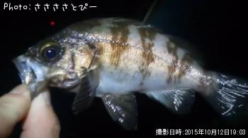 ������������������Х�������Х�