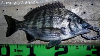 ������������������Х�������Х�