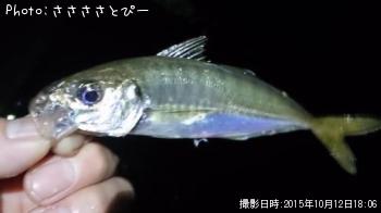 ������������������Х�������Х�