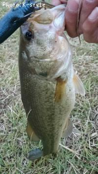 ¥Ö¥é¥Ã¥¯¥Ð¥¹¡¡