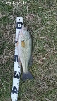 ¥Ö¥é¥Ã¥¯¥Ð¥¹¡¡