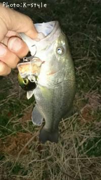 ¥Ö¥é¥Ã¥¯¥Ð¥¹¡¡