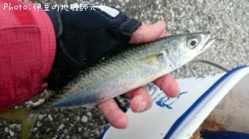 ���ޥ���