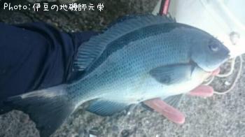 ¸ýÂÀ¥á¥¸¥Ê