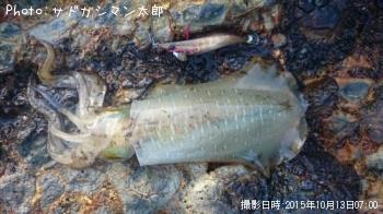 ¥¢¥ª¥ê¥¤¥«