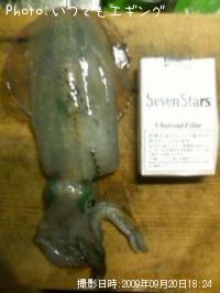 �����ꥤ��