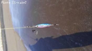 �ڣ���ڡ����������֥�åɥ��㥹�ȥ磻��