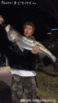 �����Х�