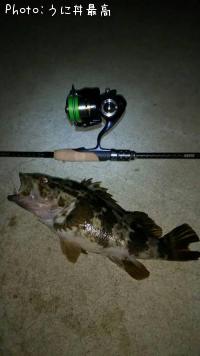 �٥å�������