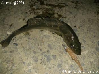 �����Х�