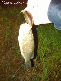 �֥�å��Х�