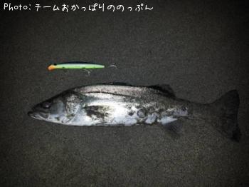 �����Х�