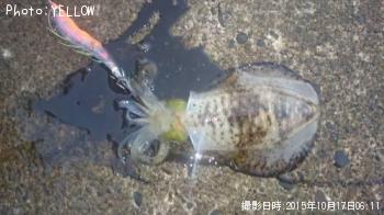 �����ꥤ��