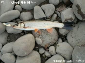 ¥Ç¥«¤¦¤°¤¤