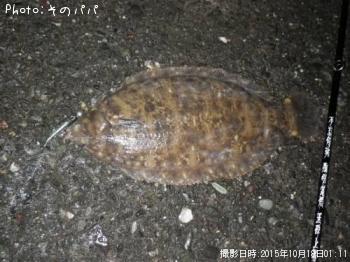 ¥Ê¥á¥¿¥¬¥ì¥¤