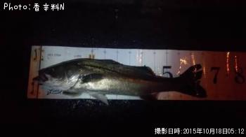 �����Х�