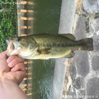 �֥�å��Х�