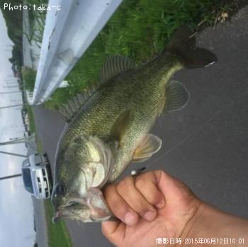 �֥�å��Х�