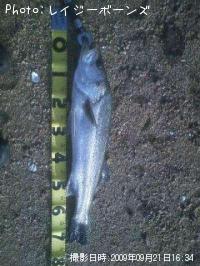 �����Х�