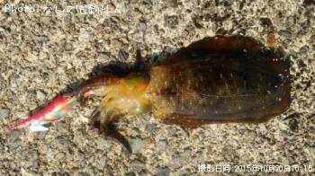 ¥¢¥ª¥ê¥¤¥«