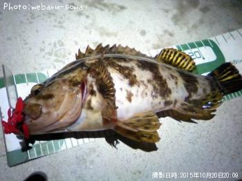 �����Υ���Х�