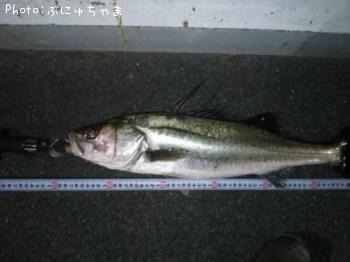 �����Х�