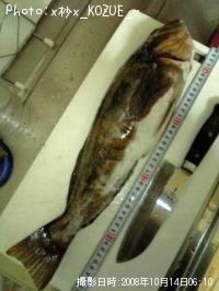 �����ʥ�