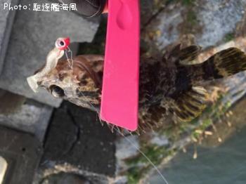 �����Υ���Х�