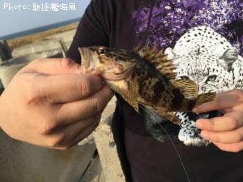 ¥¿¥±¥Î¥³¥á¥Ð¥ë