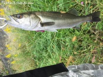 �����Х�