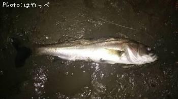 �����Х�