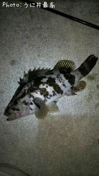 �٥å�������