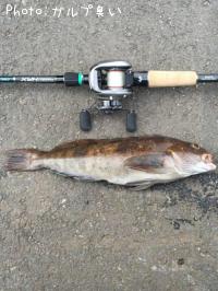 �����ʥ�