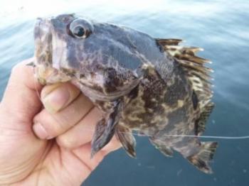 �����Υ���Х�