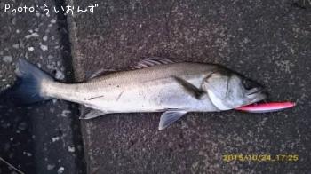 �����Х�