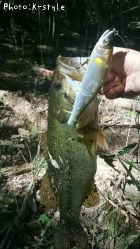 �֥�å��Х���