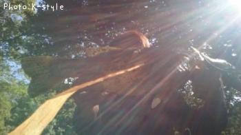 �֥�å��Х���