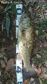 �֥�å��Х���