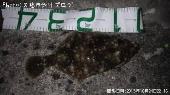 �ޥ����쥤