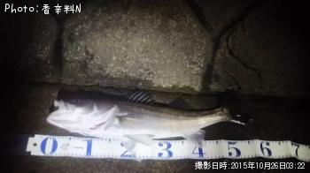 �����Х�