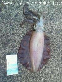 �ߥ�����