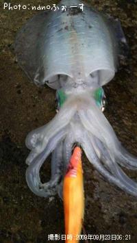 �����ꥤ��