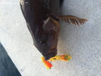 �����ʥ�