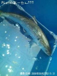 ���Υ���